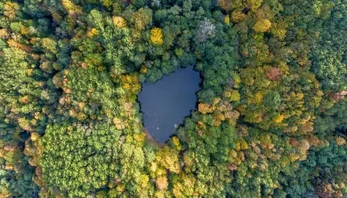 2019_tf_twentyfour_teaser